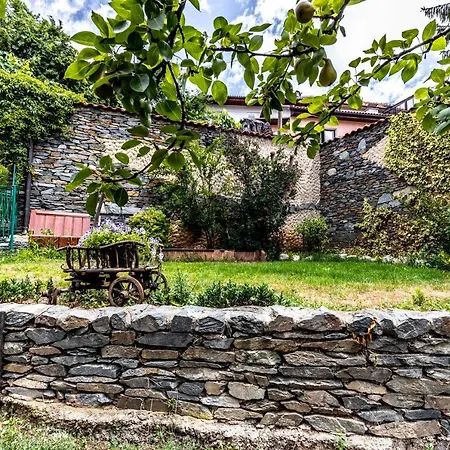 Avlija Garden Gem - Free Parking Apartament *