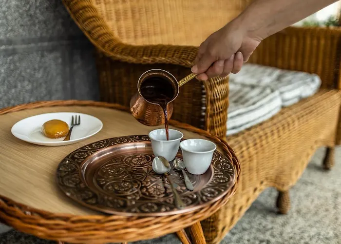 公寓 Avlija Garden Gem - Free Parking 塞拉耶佛