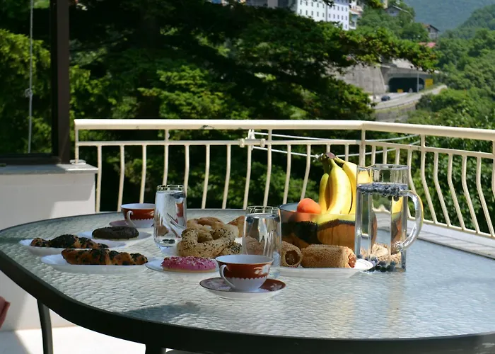 Avlija Garden Gem - Free Parking * 塞拉耶佛