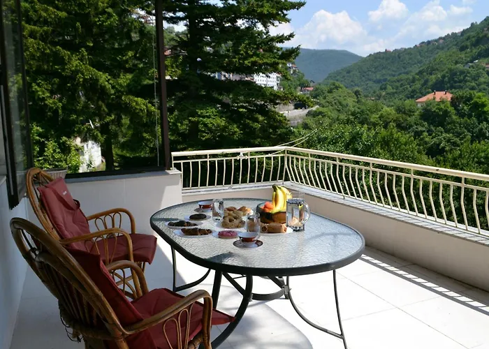 公寓 Avlija Garden Gem - Free Parking 塞拉耶佛